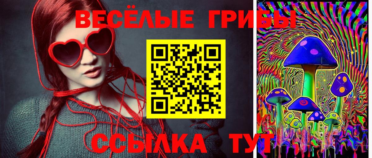 Псилоцибиновые грибы ЛСД Кисловодск